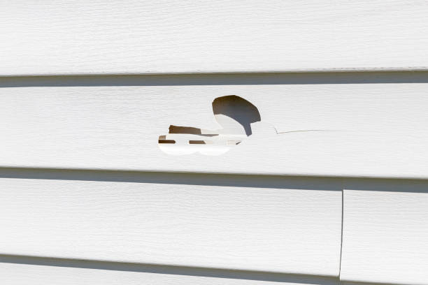 Best Shed Removal  in West Yarmouth, MA